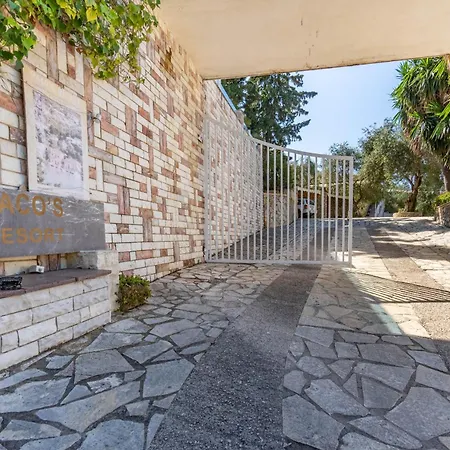 Paco's Standard 2 * Ozias